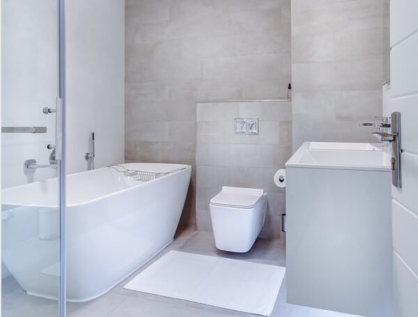 Top Rated Walk-in Tubs for Seniors in Canton, MI  