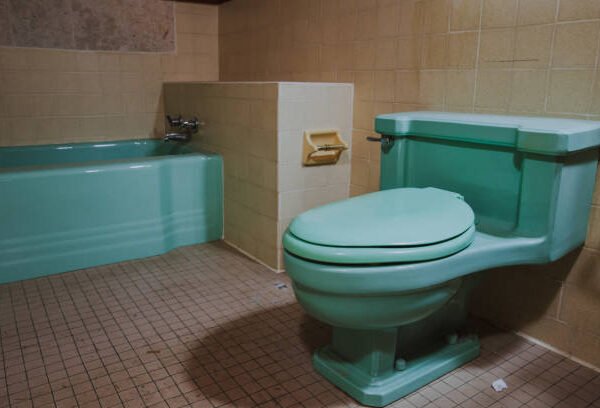 Expert Bathroom Remodeling Contractors in Novi MI