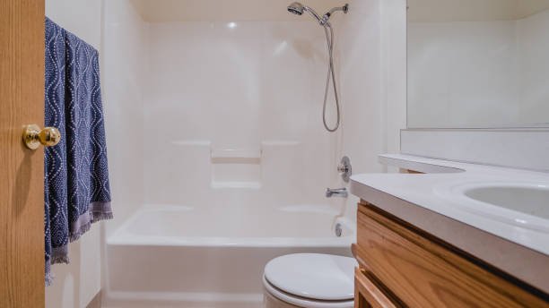 Expert Tub to Walk-in Shower Conversion Contractors in Farmington, MI