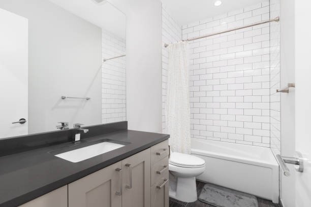 Master Bathroom Remodel Services in Farmington MI 