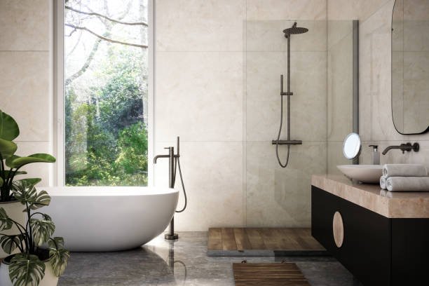 Best Tub to Shower Conversion Farmington MI