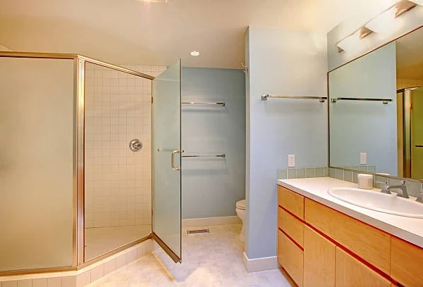 Expert Tub to Walk in Shower Conversion Services in Livonia