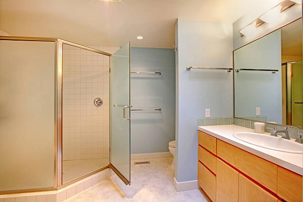 Expert Tub to Walk in Shower Conversion Services in Livonia