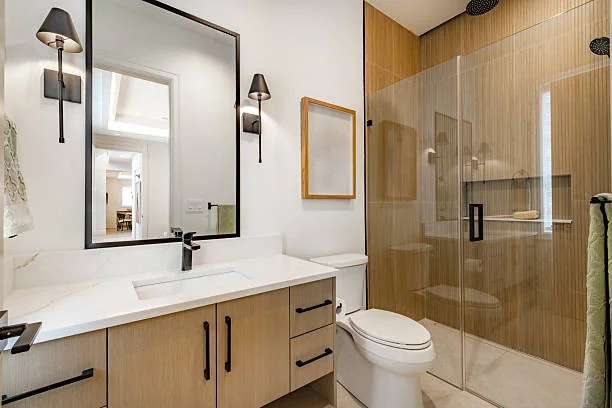 Tub to Shower